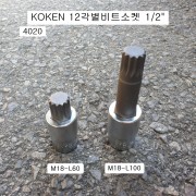 코겐KOKEN 12각별비트소켓 M18 4020-60, 4020-100